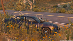 Shhhh... I'm hunting wabbits.