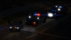 K9 Search