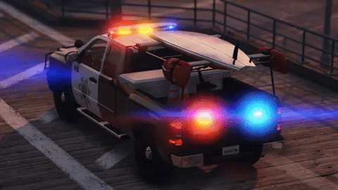 SPD [SALINAS POLICE DEPARTMENT]#4