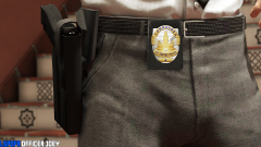 lspdfr1.png