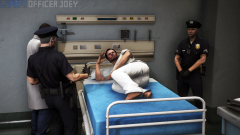 lspdfr1.png