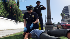 lspdfr1.png