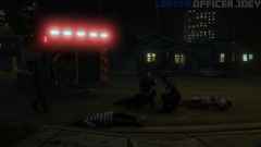 lspdfr1.png