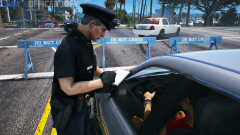 lspdfr1.png