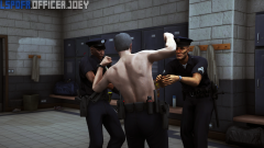 lspdfr1.png