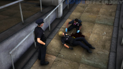 lspdfr1.png