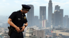 lspdfr2.png