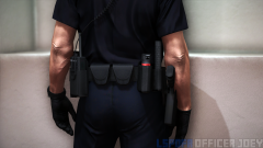 lspdfr2.png