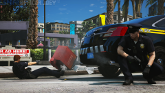 lspdfr3.png