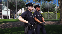 lspdfr3.png