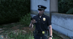 lspdfr3.png