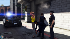 lspdfr3.png