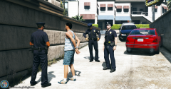 lspdfr4.png