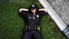 lspdfr4.png