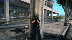 lspdfr4.png