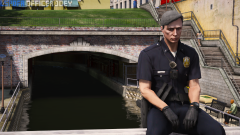 lspdfr5.png