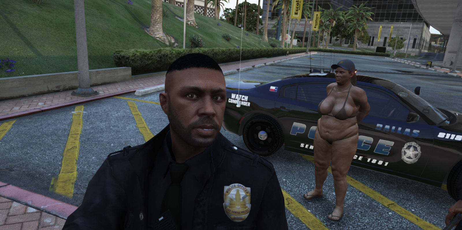 LSPDFR Gone Wild