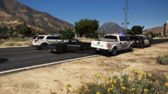 engaged in a shoot out.png