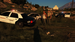 pursuit terminated.png