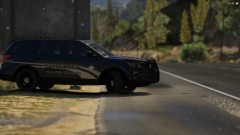 BCSO 17' FPIU Dark Livery