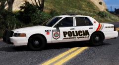 Carolina P.R. police CV