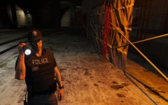 trespassing enforcement patrol in the lower.