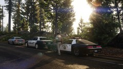 Early morning traffic stop backup