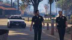 Community Policing in Mirror Park