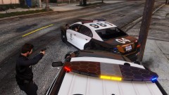 Step out of the vehicle!