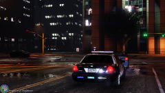 lspdfr5.png