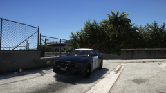 watching the gangs.png