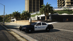 hanging by the trees.png