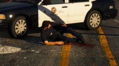 Awaiting ambulance for injured officer