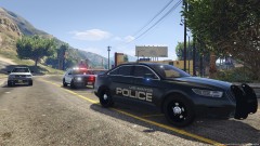LSPD on scene
