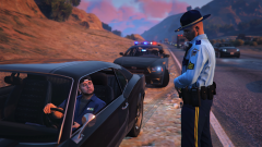 SASP Traffic Stop