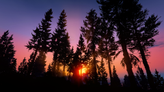 Paleto Bay Sunset