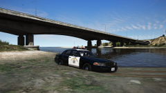 serving the public.png