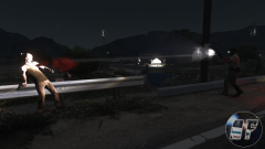 Cook County Sheriff Fatal Shooting.png