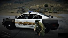 BSCO 2014 Dodge Charger