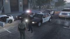 Felony stop complete