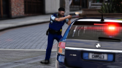 coppers66.png