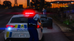coppers81.png
