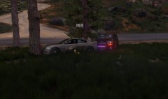 LIVELEO - Los Santos County Sheriff
