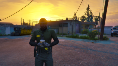 LSPDFR Screenshot 2.PNG