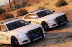 New Fleet Addition.png