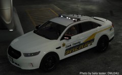 Cook County Sheriff Taurus