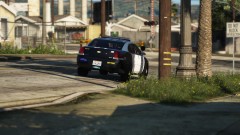 Patrolling the neighborhood