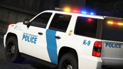 SEP K-9 Alamo