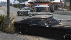 Thank you for the help light pole!