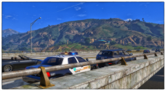 no insurance? no driving away!